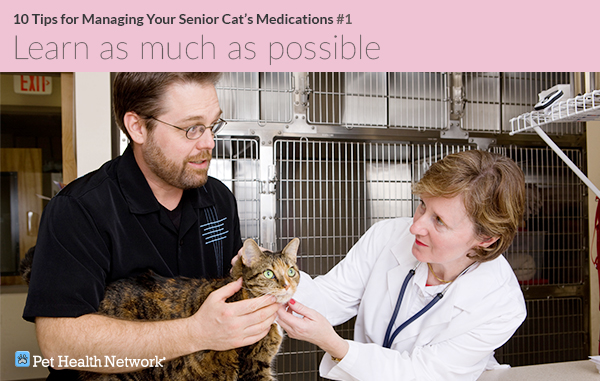 Man talking with vet about cat