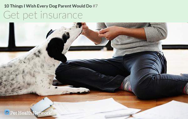 Woman giving treat to dog next to paperwork