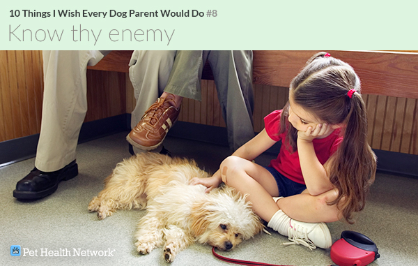 Girl petting sick dog at the vet