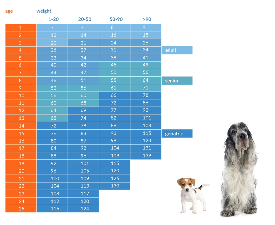 Dog Age Chart By Breed