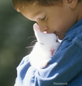 Hero Bunnies save a Family from Fire