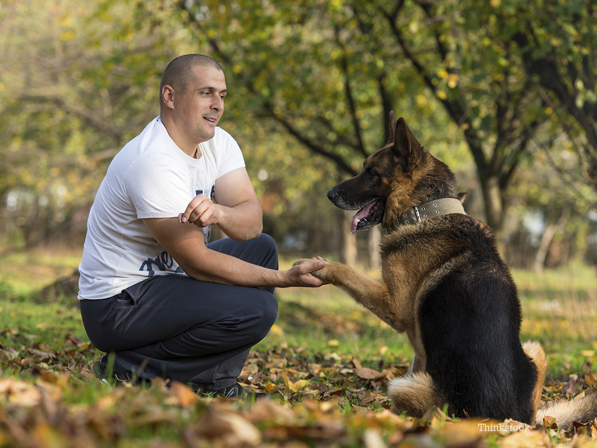 Therapy Dogs Aid Soldiers during Counseling