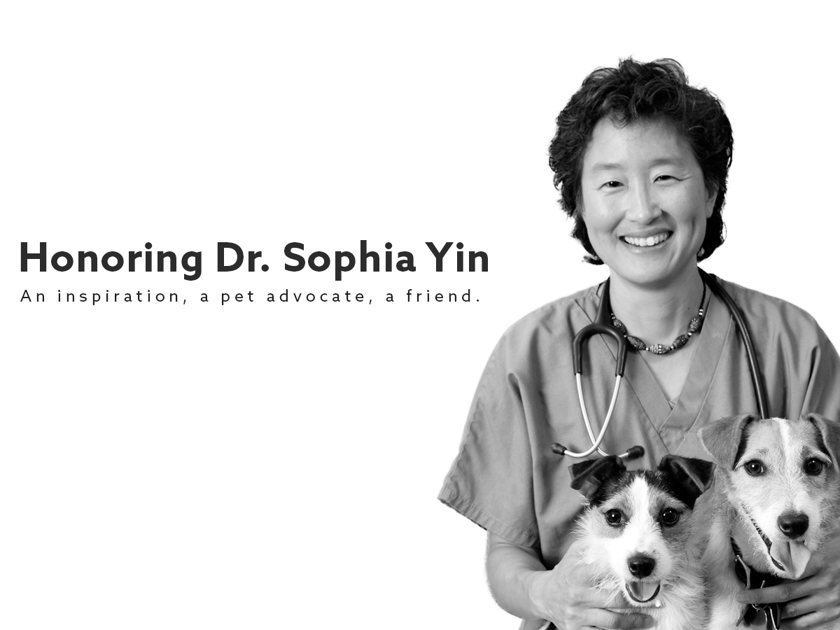 Honoring Dr. Sophia Yin