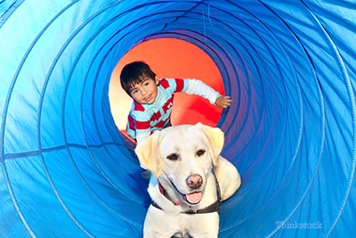 Services dog playing with kid