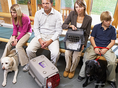 Veterinary waiting room