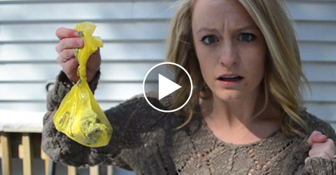 7 hilariously bad ways to collect a sample sample checklists