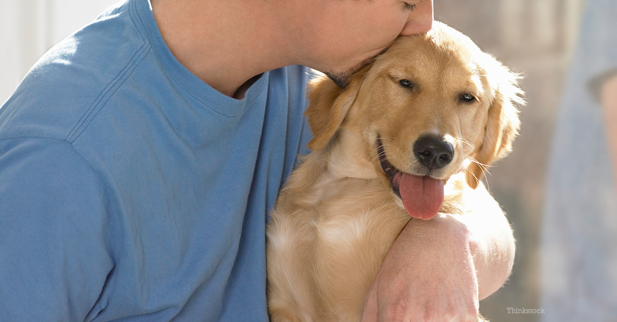 what vaccinations do puppies need what vaccinations does my need what vaccinations do puppies need what vaccinations does my need