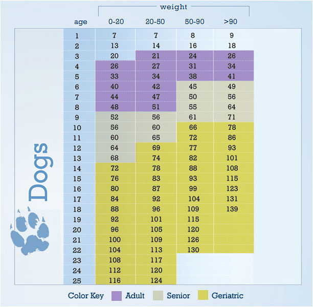 how old is your dog chart