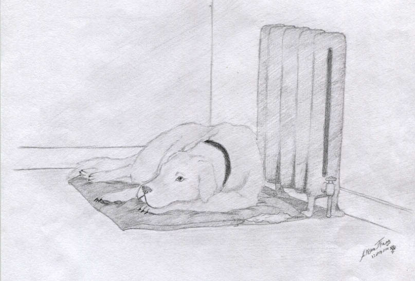 illustration of a dog laying down by a heater