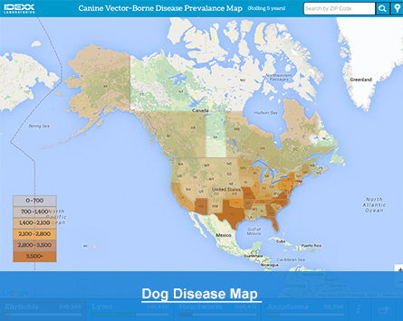 Canine Disease Map