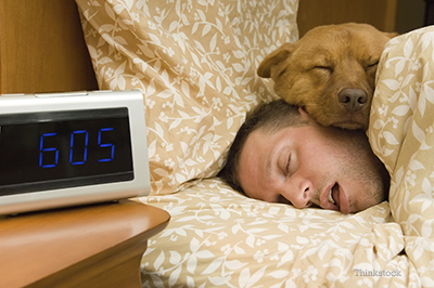 Dog sleeping with his owner