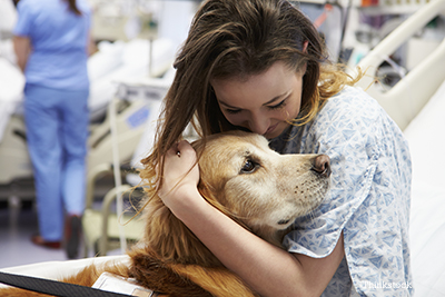 Therapy dog caring for a woman in a hospital
