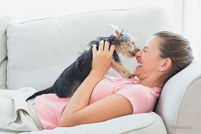 Dog licking owner