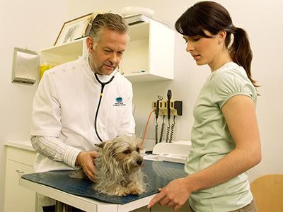 Client with dog and vet