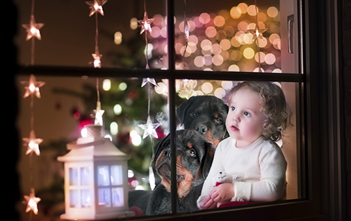 Little girl with puppy Rottweilers