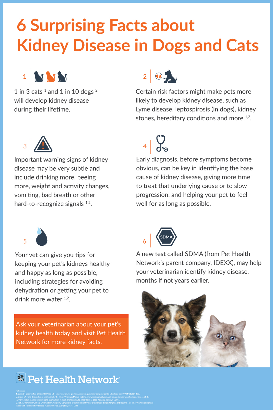 Infographic Poster 6 Surprising facts about kidney disease in cats and