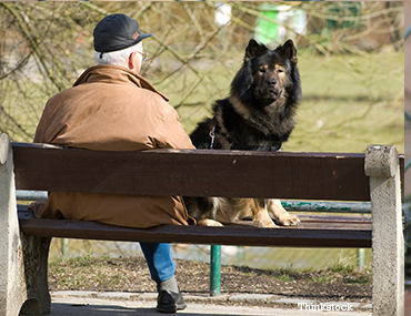 Old man with a dog at the park