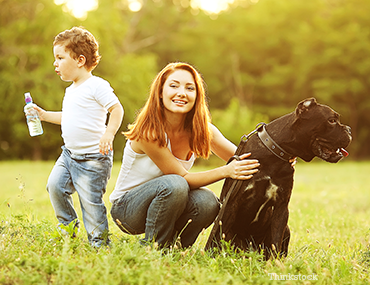 Family and Dog