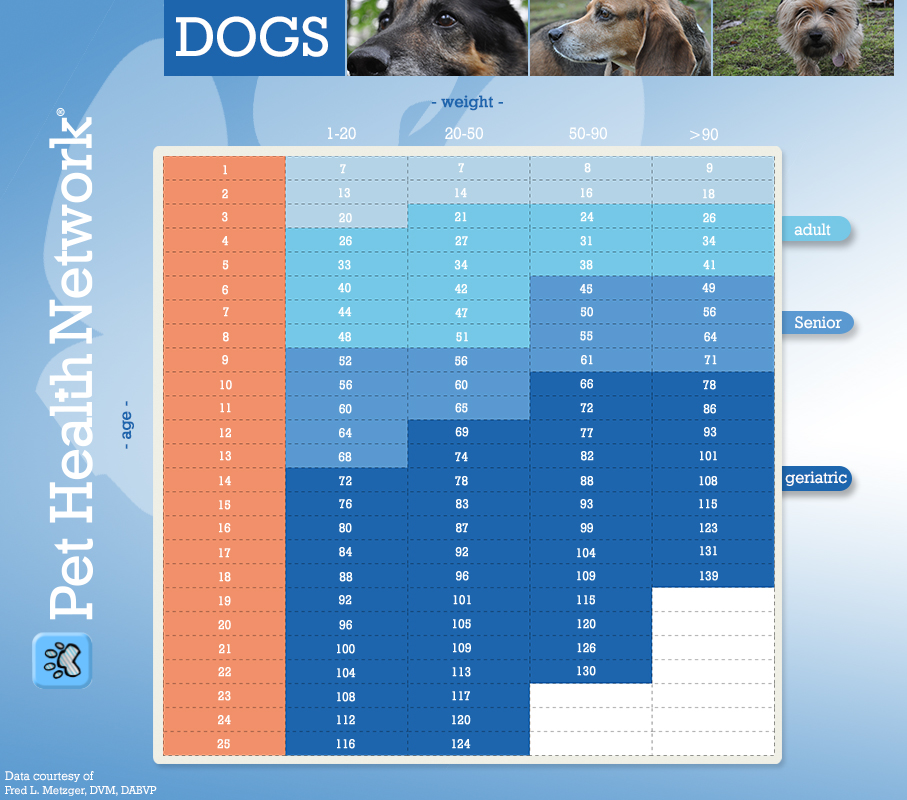 How To Calculate Dog Years
