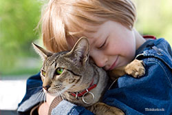 Little boy hugging cat