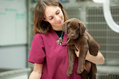 A Vet Tech holding a puppy