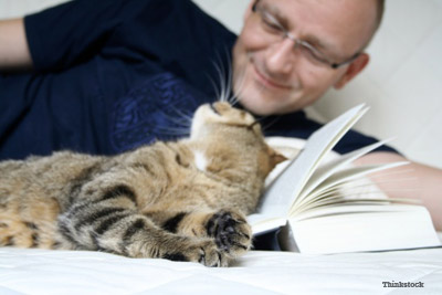 Happy cat on Book