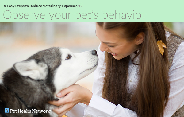 5 Easy Steps to Reduce Veterinary Expenses