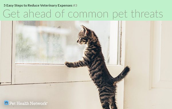 5 Easy Steps to Reduce Veterinary Expenses 5 Easy Steps to Reduce Veterinary Expenses