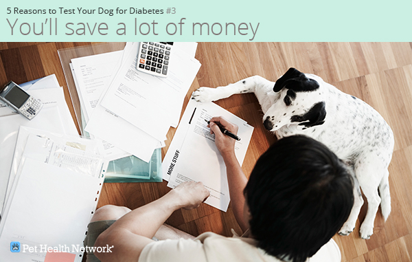 5 Reasons to Test Your Dog for Diabetes. Click to see #4 >> Man looking over vet bills with his dog