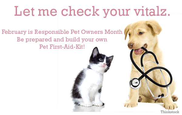 5 Surprising Ways to Protect Your Pet 5 Surprising Ways to Protect Your Pet