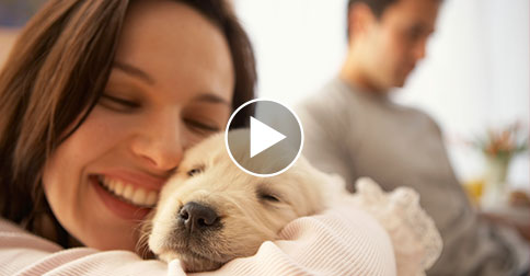 pet health network