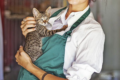 Volunteer holding a shelter cat