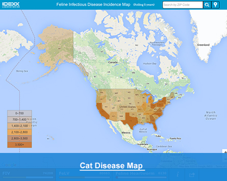 Feline Disease Map