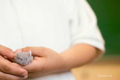 Person holding a mouse