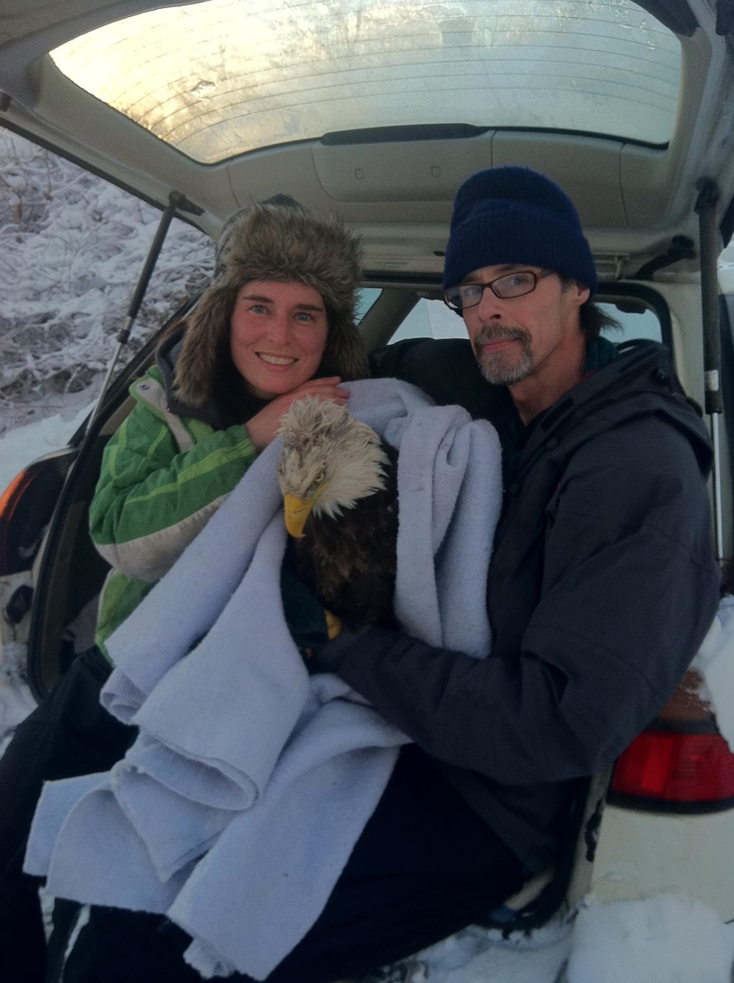 Eagle in a car