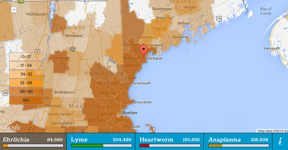 Which Canine Vector-Borne Diseases Are In My Area?