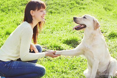 Woman smiling at her Labrador