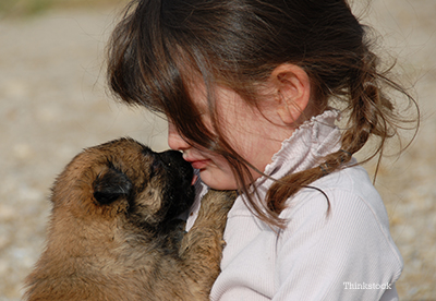 Little girl crying with her new puppy