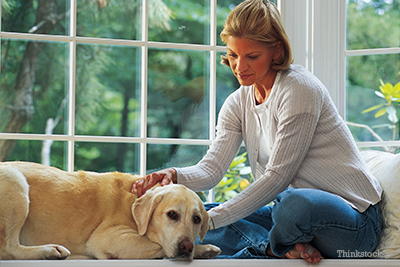 Woman petting sad dog