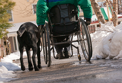 Operation Freedom Paws: War Veterans Connect With Amazing Dogs Person in wheelchair with service dog /><p>Stories of violence, crime, terrorism, war and injustice flood our airwaves. I even avoid watching the news because I know that the endless bombardment of negativity personally affects me, slowly eroding my faith in humanity and goodness. My sentiments are not unique. Research has shown that viewing negative news constantly has profound psychological effects. A study in 1997, from the <a href=