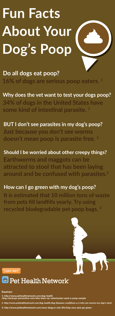 Infographic: Fun Poop Facts