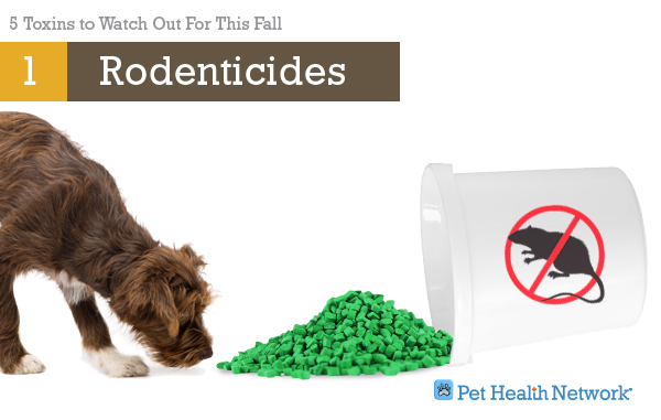 are moth balls toxic to dogs