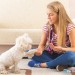 6.Teachyourdognewbehaviorsinquiet,low-distractionareas