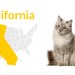 6California(DatafromIDEXX,updated7/22/15)