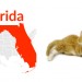 1Florida(DatafromIDEXX,updated7/22/15)