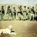 WarDogs:TalesofCanineHeroism,History,andLove4