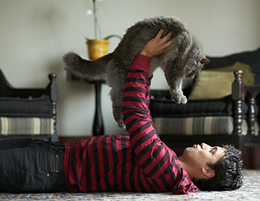 do cats really love us