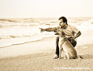 Dr. Ernie Ward at the beach with his dog