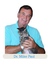 best cat food for exocrine pancreatic insufficiency