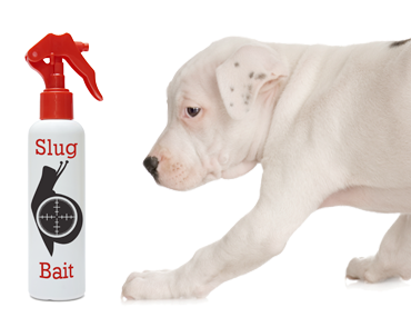 Metaldehyde Poisoning The Dangers Of Snail And Slug Bait